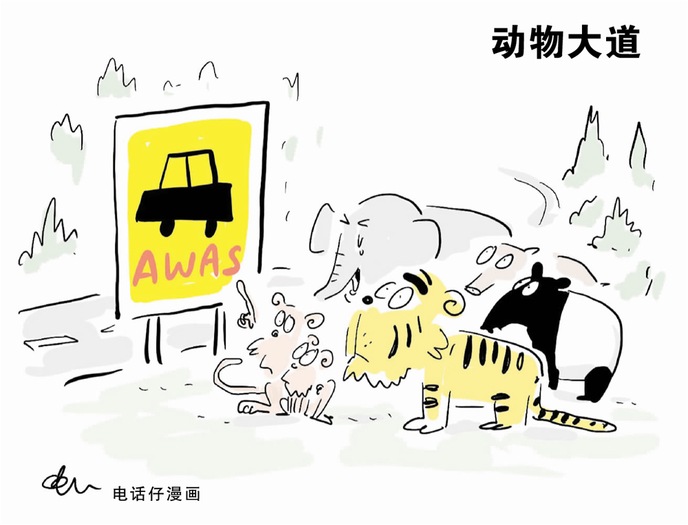 動物大道